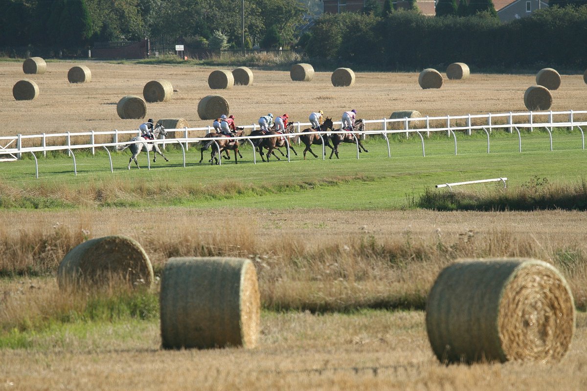 folkestone-racecourse