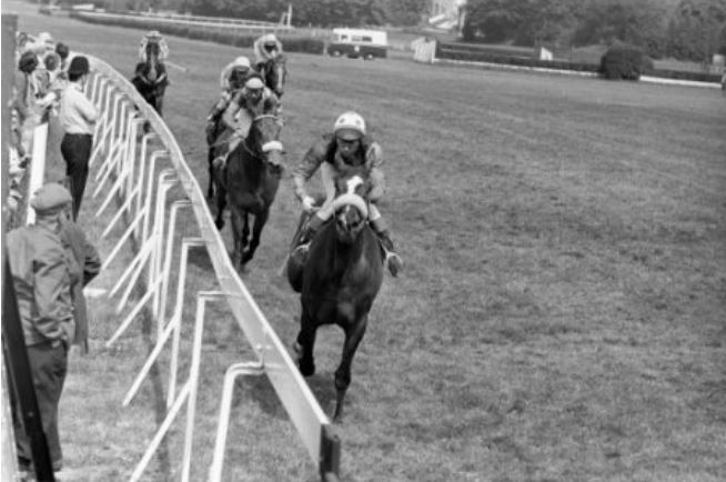 sandown75flat