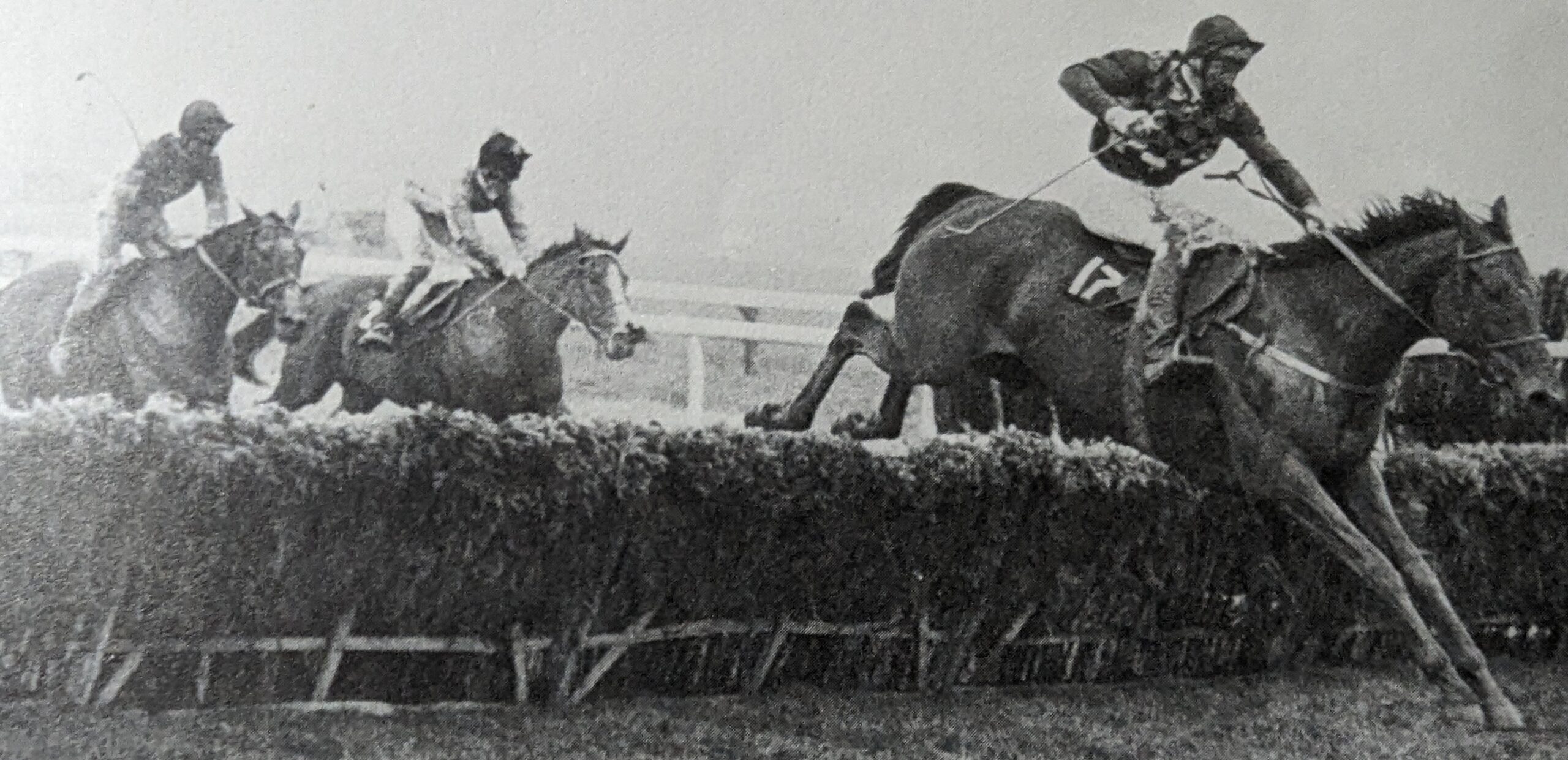 Cheltenham 75a