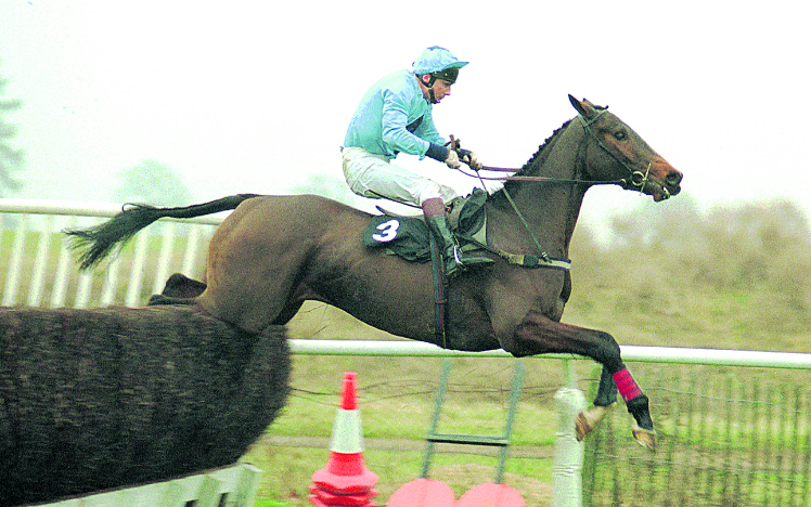 Carvill's Hill 1991