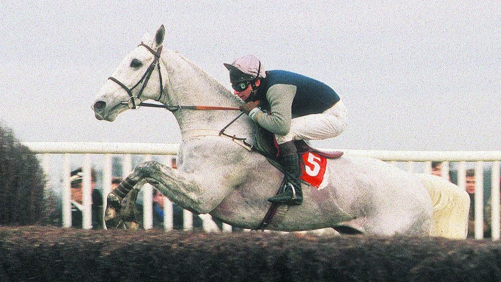Desert Orchid 1986