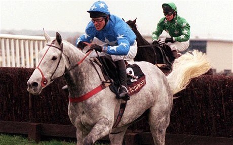 Suny Bay_1997_Hennessy